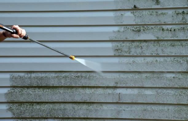 Animal Enclosure Cleaning in Shawnee, KS